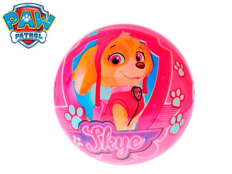 Míč 20cm Paw Patrol Skye 10m+ v síťce